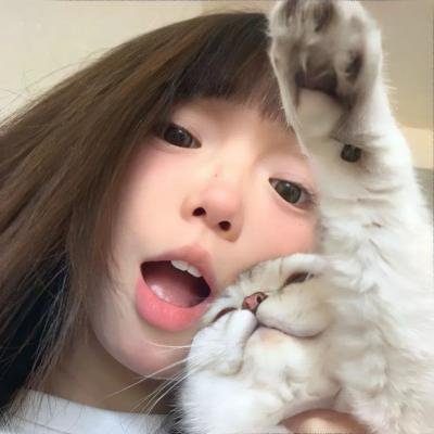 御猫三戏锦毛鼠